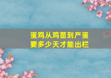 蛋鸡从鸡苗到产蛋要多少天才能出栏