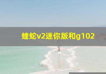 蝰蛇v2迷你版和g102