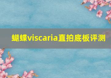 蝴蝶viscaria直拍底板评测