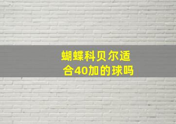 蝴蝶科贝尔适合40加的球吗