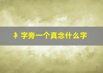 衤字旁一个真念什么字