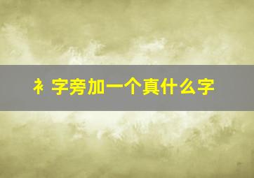 衤字旁加一个真什么字