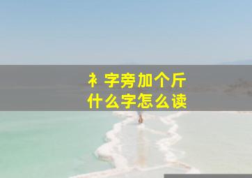 衤字旁加个斤什么字怎么读