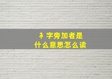 衤字旁加者是什么意思怎么读