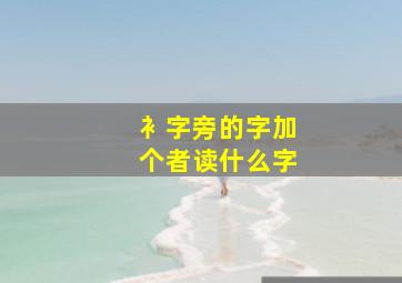 衤字旁的字加个者读什么字