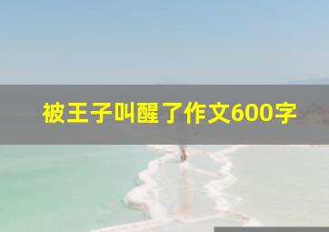 被王子叫醒了作文600字