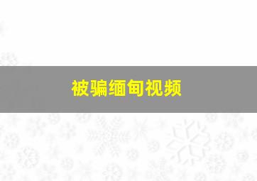 被骗缅甸视频