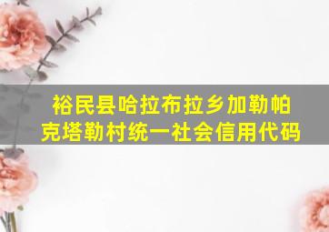 裕民县哈拉布拉乡加勒帕克塔勒村统一社会信用代码