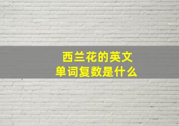 西兰花的英文单词复数是什么