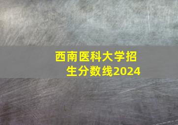 西南医科大学招生分数线2024