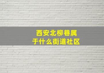 西安北柳巷属于什么街道社区