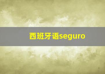 西班牙语seguro