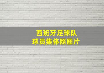 西班牙足球队球员集体照图片