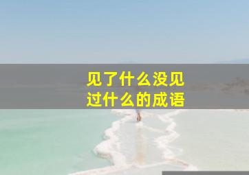 见了什么没见过什么的成语