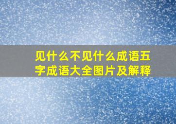 见什么不见什么成语五字成语大全图片及解释