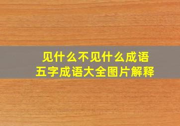 见什么不见什么成语五字成语大全图片解释