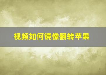 视频如何镜像翻转苹果