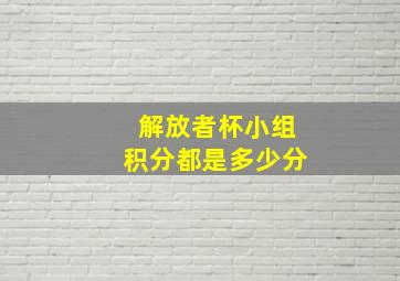 解放者杯小组积分都是多少分