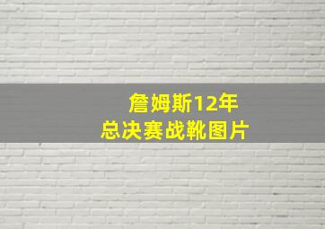 詹姆斯12年总决赛战靴图片