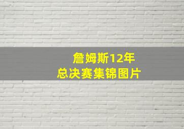 詹姆斯12年总决赛集锦图片