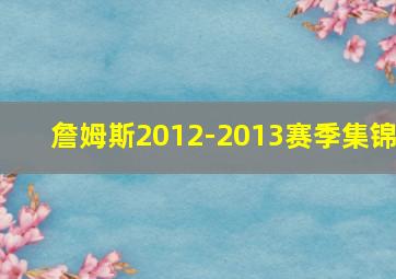 詹姆斯2012-2013赛季集锦