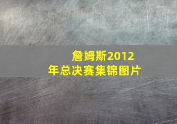 詹姆斯2012年总决赛集锦图片