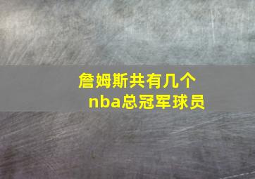 詹姆斯共有几个nba总冠军球员