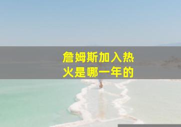 詹姆斯加入热火是哪一年的