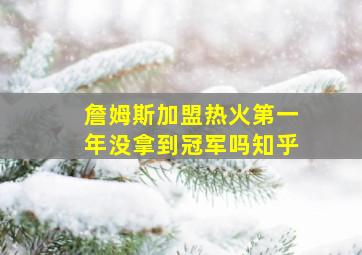 詹姆斯加盟热火第一年没拿到冠军吗知乎