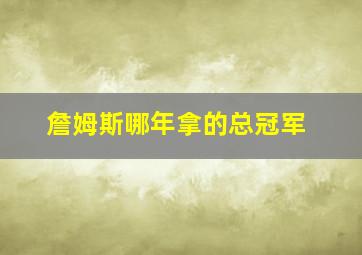 詹姆斯哪年拿的总冠军