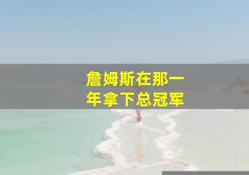 詹姆斯在那一年拿下总冠军