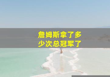 詹姆斯拿了多少次总冠军了