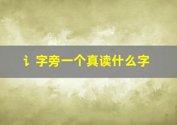 讠字旁一个真读什么字