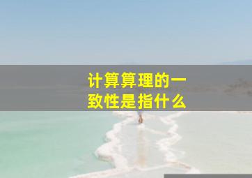 计算算理的一致性是指什么