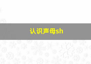 认识声母sh