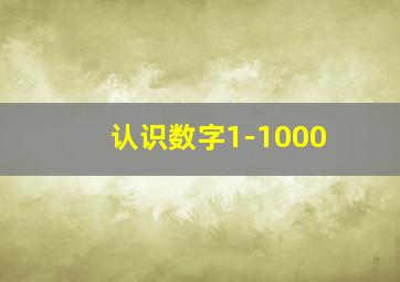 认识数字1-1000