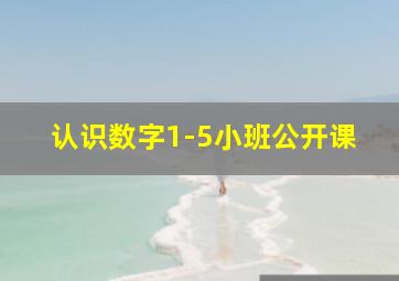 认识数字1-5小班公开课