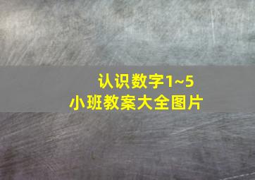 认识数字1~5小班教案大全图片