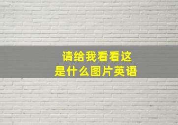 请给我看看这是什么图片英语