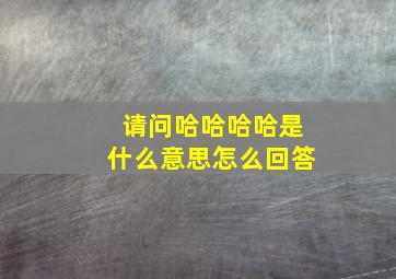 请问哈哈哈哈是什么意思怎么回答