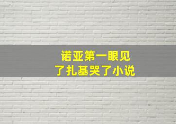 诺亚第一眼见了扎基哭了小说