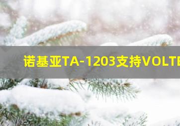 诺基亚TA-1203支持VOLTE吗