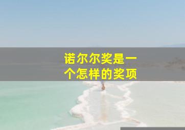 诺尔尔奖是一个怎样的奖项