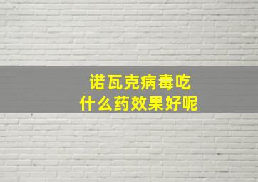 诺瓦克病毒吃什么药效果好呢