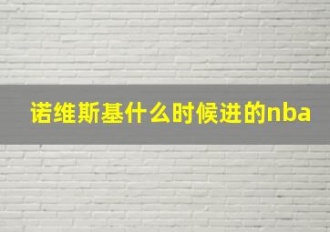 诺维斯基什么时候进的nba