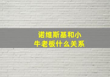 诺维斯基和小牛老板什么关系