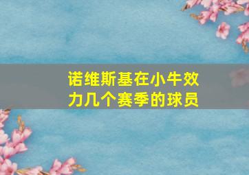 诺维斯基在小牛效力几个赛季的球员