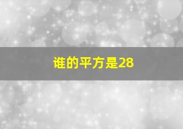 谁的平方是28