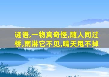 谜语,一物真奇怪,随人同过桥,雨淋它不见,晴天甩不掉