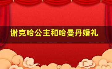 谢克哈公主和哈曼丹婚礼